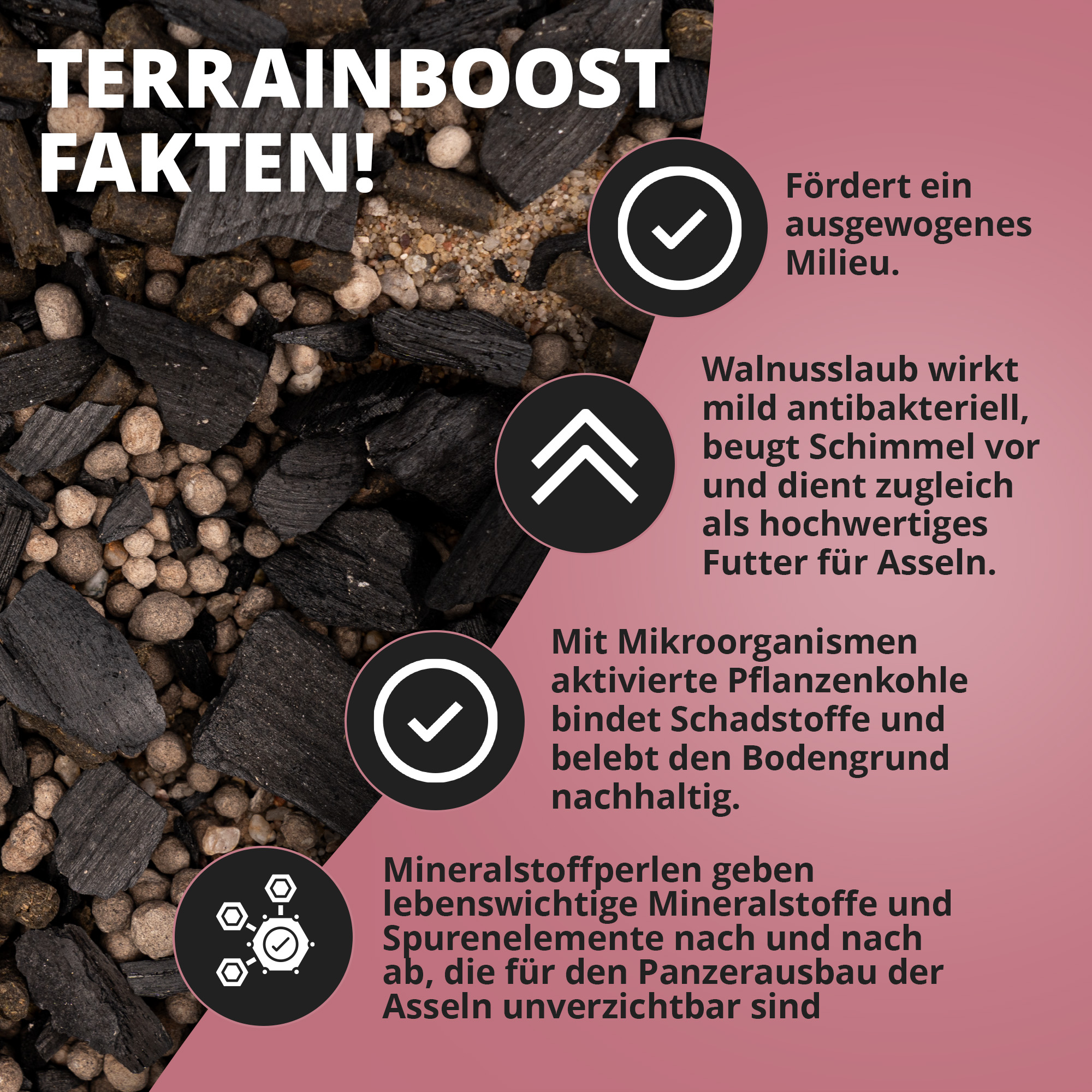 Nahaufnahme Bodengrund mit Pflanzenkohle und Mineralperlen